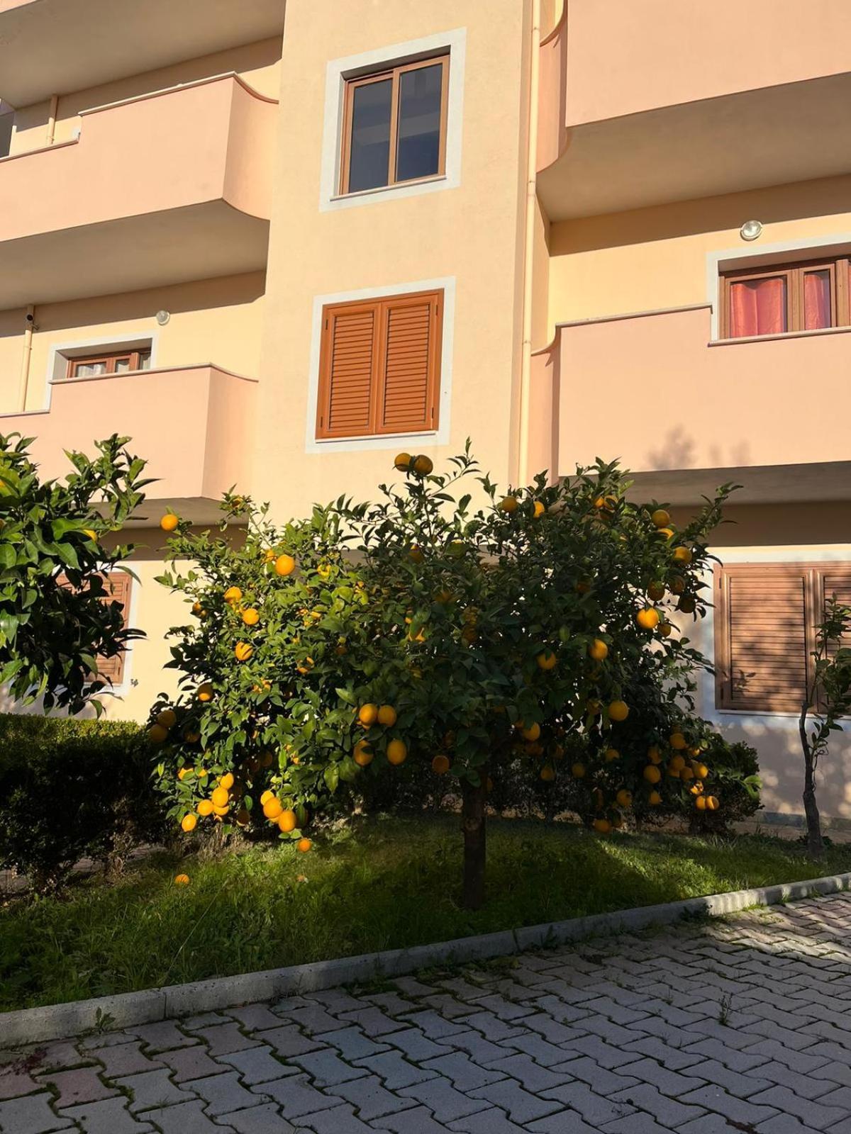 Villa Dei Limoni Shkallnur Экстерьер фото