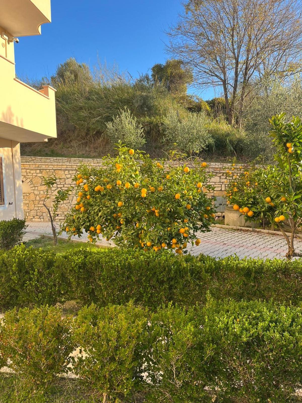 Villa Dei Limoni Shkallnur Экстерьер фото
