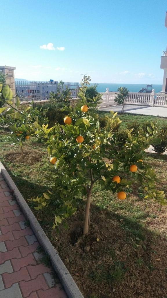 Villa Dei Limoni Shkallnur Экстерьер фото