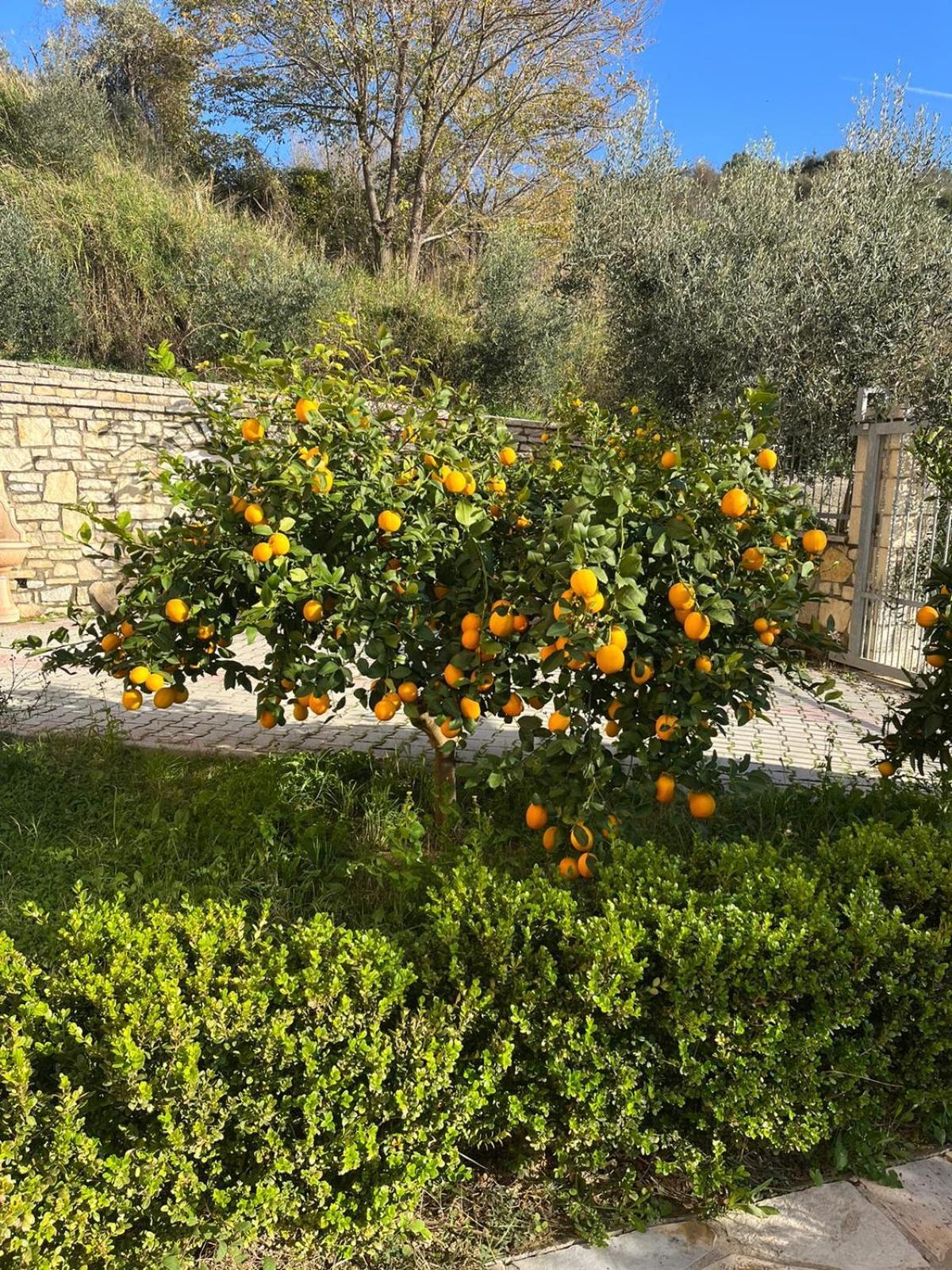 Villa Dei Limoni Shkallnur Экстерьер фото